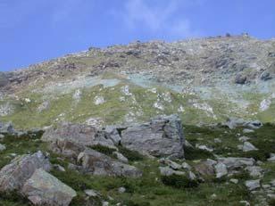 terepi minta (Pétrequin) petrográfiai