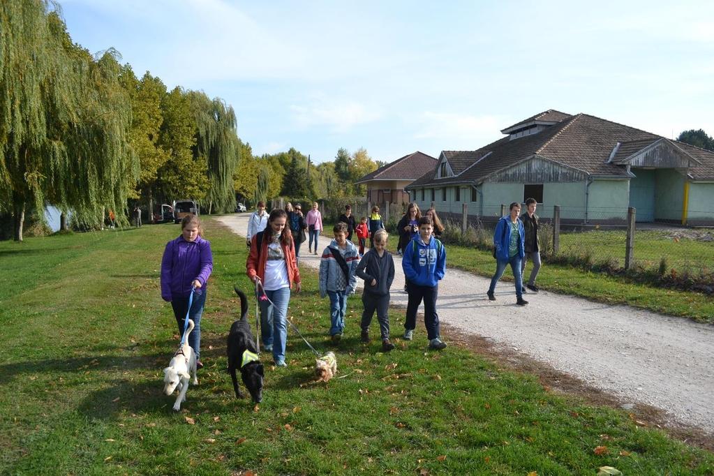 World Walking Day