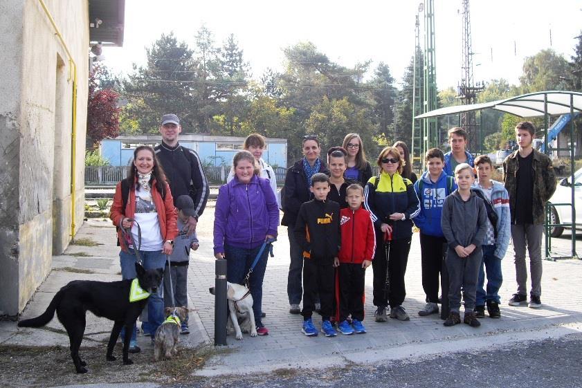 World Walking Day Világ Gyalogló Nap egész októberben!