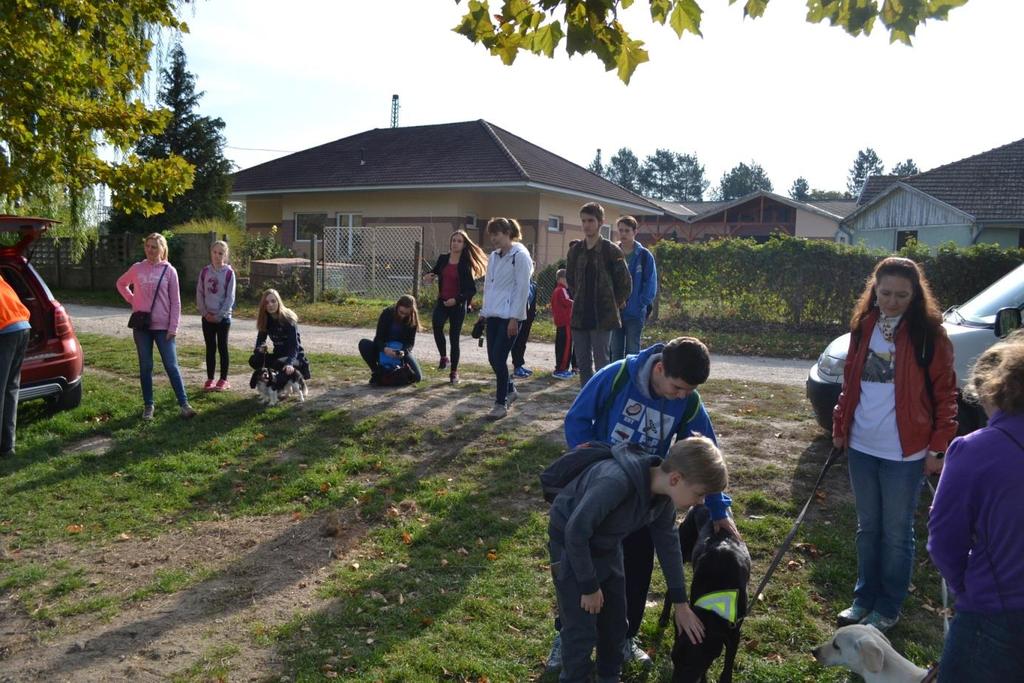 A környei tóparton a helyi horgászok megmutatták a reggeli fogást: dévérkeszegeket a szákban, s éppen