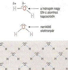 elektronpárral rendelkező elem atomja szükséges, amelyhez közvetlenül kapcsolódik egy hidrogénatom. Elsősorban három elem képes ilyen kötés kialakítására: a fluor, az oxigén és a nitrogén.