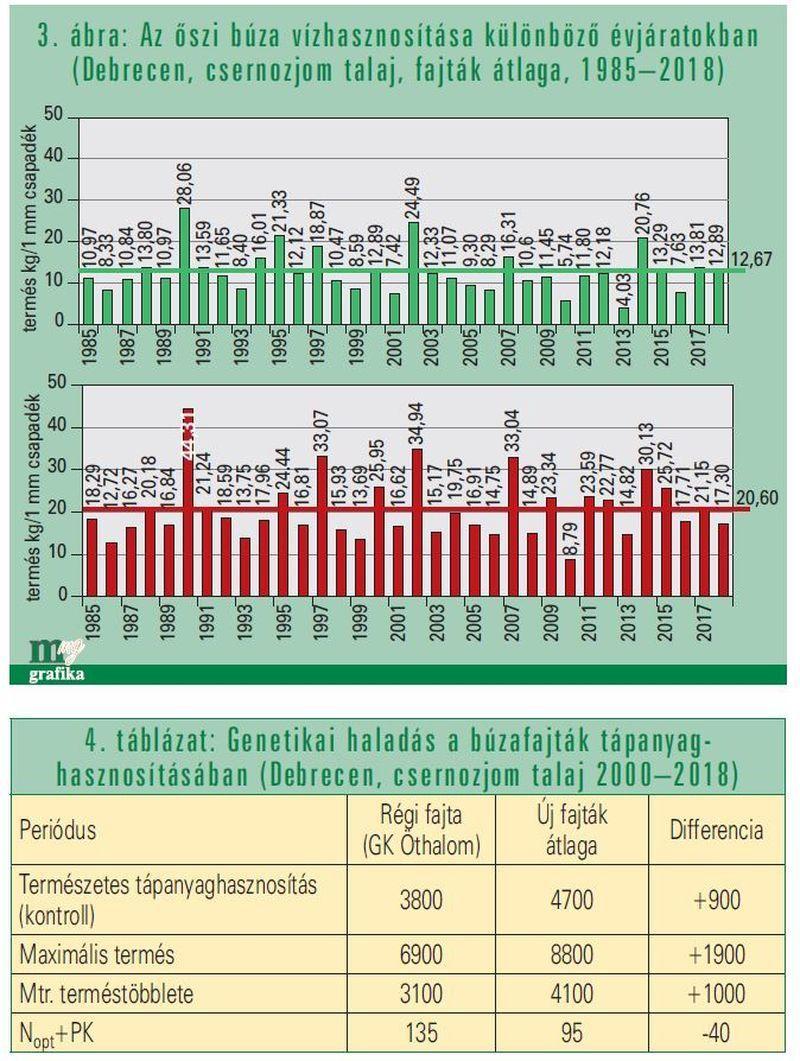 Az optimális műtrágyázással egyrészt a búza termésmennyiségét növelhetjük jelentős mértékben, másrészt pedig a termésbiztonságot is fokozhatjuk.