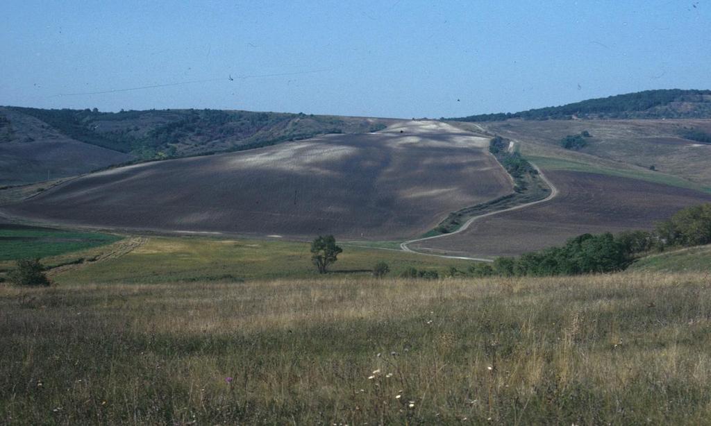 A talajképződés és a biológiai folyamatok huzamosabb ideig való hatását az eróziós folyamatok teszik lehetetlenné.