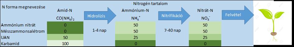 Az eltérő hatóanyag formák átalakulási folyamatai Az ammónia formájú nitrogén veszteségek lehetséges mértéke Műtrágya forma Szántóterület