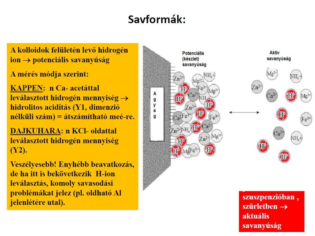 Forrás: