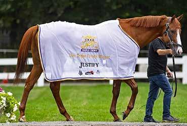 10 Welana (GER) * 55.5 Kriskó Norbert (1.5) (36,3-8) (Kék, fehér motívum, ujjak és sapka) 4 szk Hamond (GER) - Wellista (GER) / Sternkönig (IRE) Ribárszki Sándor Istálló: Vál völgyi i.
