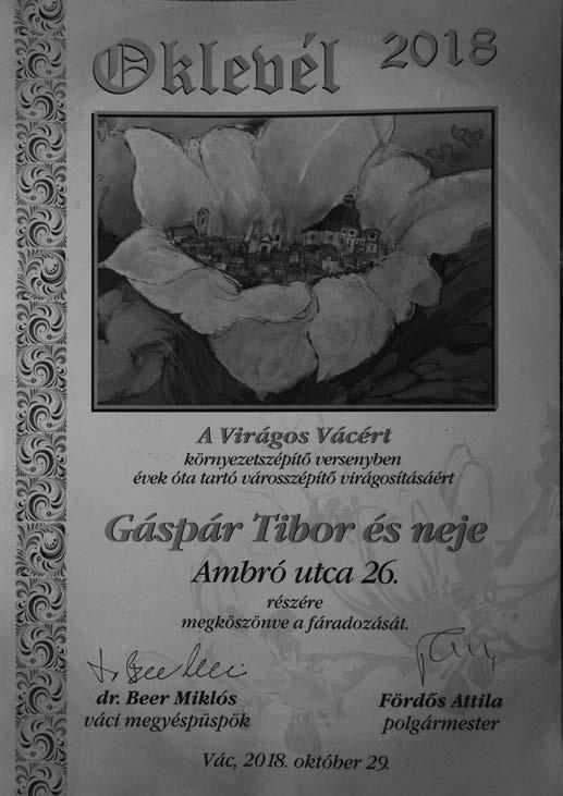26 Sződiek Híradója 2019. tavasz Közélet Nagy megtiszteltetés érte falunk közismert lakóját Dr.