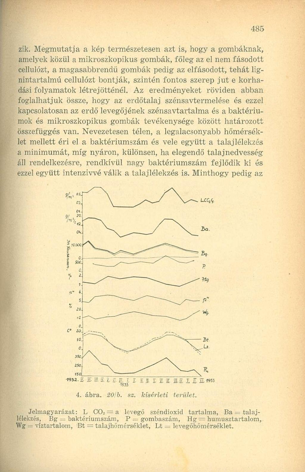 zik. Megmutatja a kép természetesen azt is, hogy a gombáknak, amelyek közül a mikroszkopikus gombák, főleg az el nem fásodott cellulózt, a magasabbrendü gombák pedig az elfásodott, tehát