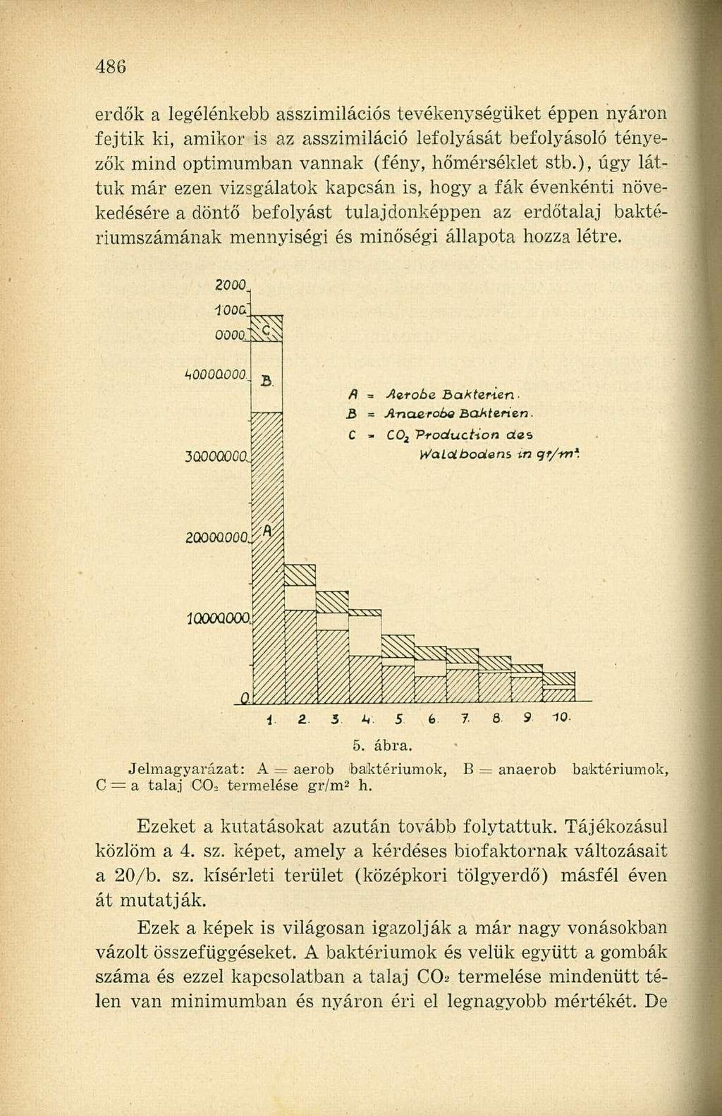 erdők a legélénkebb asszimilációs tevékenységüket éppen nyáron fejtik ki, amikor is az asszimiláció lefolyását befolyásoló tényezők mind optimumban vannak (fény, hőmérséklet stb.