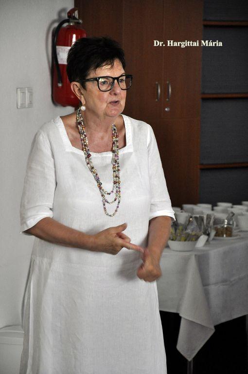 A A szakmai program főiggató