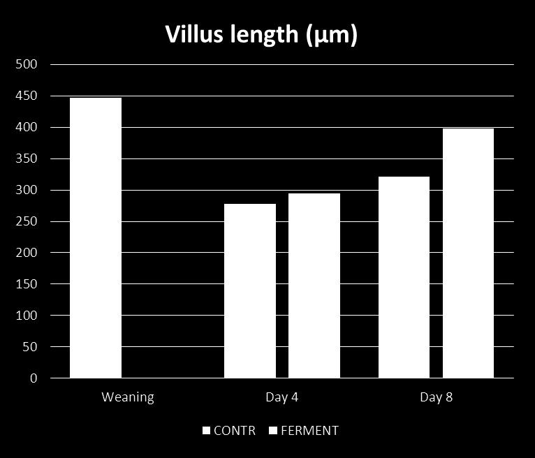 Research trials; weaned piglets Tudományos Kísérlet; Választott malacok Liquid diets with 45% non-fermented (control)
