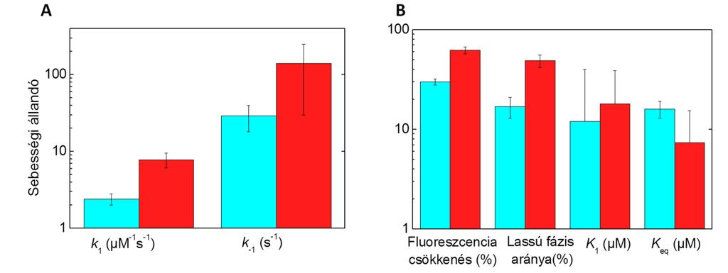 A hőmérséklet hatása Mivel a már meglévő mérések között a nukleotid-mentes állapot, és az én méréseim, amiket dt 54 -el végeztem ugyanazt az állapotot jelentik 5 és 25 o C-on (1. és 5.