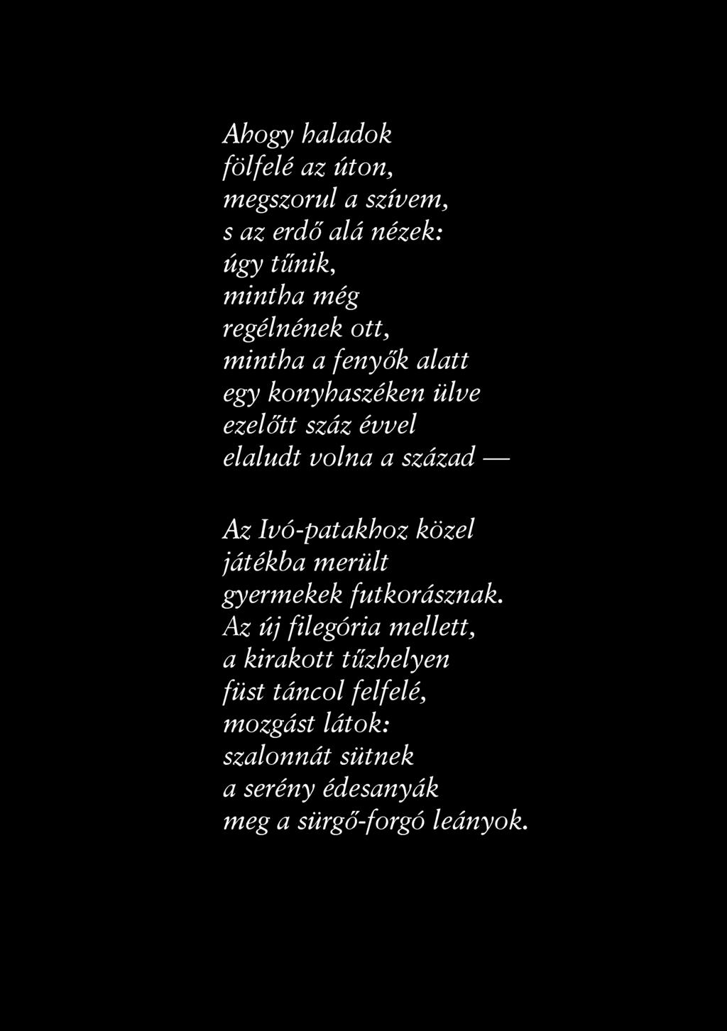 Ahogy haladok fölfelé az úton, megszorul a szívem, s az erdő alá nézek: úgy tűnik, mintha még regélnének ott, mintha a fenyők alatt egy konyhaszéken ülve ezelőtt száz évvel elaludt volna a század Az