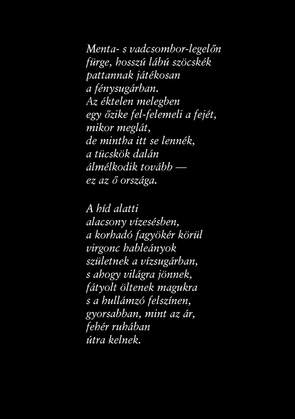 Menta- s vadcsombor-legelőn fürge, hosszú lábú szöcskék pattannak játékosan a fénysugárban.