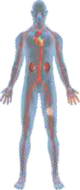 MkeBMk nkuâmãkx {kt ykãklkwt Mðkøkík Au fuh RrLMxxâqx ykuv {urzf MkkRLMkeÍ yu y{ëkðkëlkk nkëomk{k rðmíkkh{kt 150 çkuz Ähkðíke yrík ykäwrlkf WÃkfhýkuÚke Mkßs yuf yrîríkþ {Õxe MÃkurþÞk exe nkuâmãkx Au.