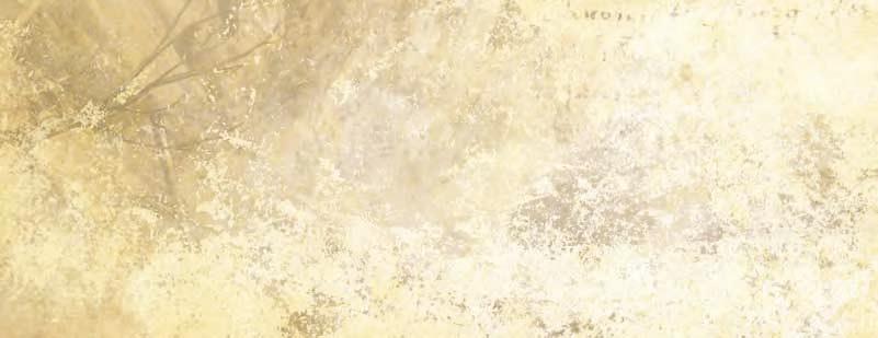 Vandaëlének, Thomas Laroche-nak, Benoît Kusters-nek, Jean-Paul Reginsternek, Yann Vekemansnak, Yves Dohogne-nak, Eric