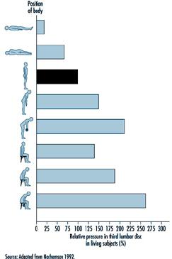 STUDY-All gain, no pain much of the weight of the upper body. It also allows sufficient force transfer between the lower and upper body when it is in balance.