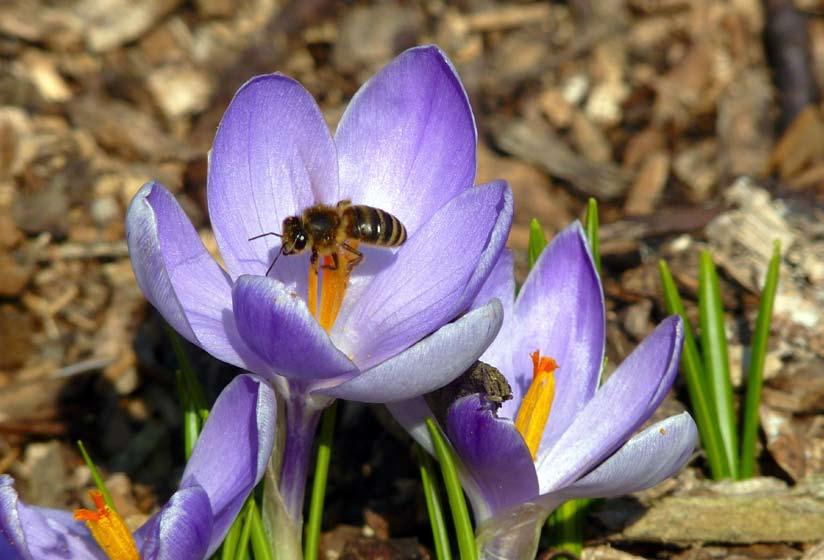 Děti i my vedoucí jsme si užili přítomnosti slavných osobností a s řadou z nich jsme si pořídili fotografie na památku. Sobota byla naplněna státností. Zašli jsme se podívat na Pražský hrad.