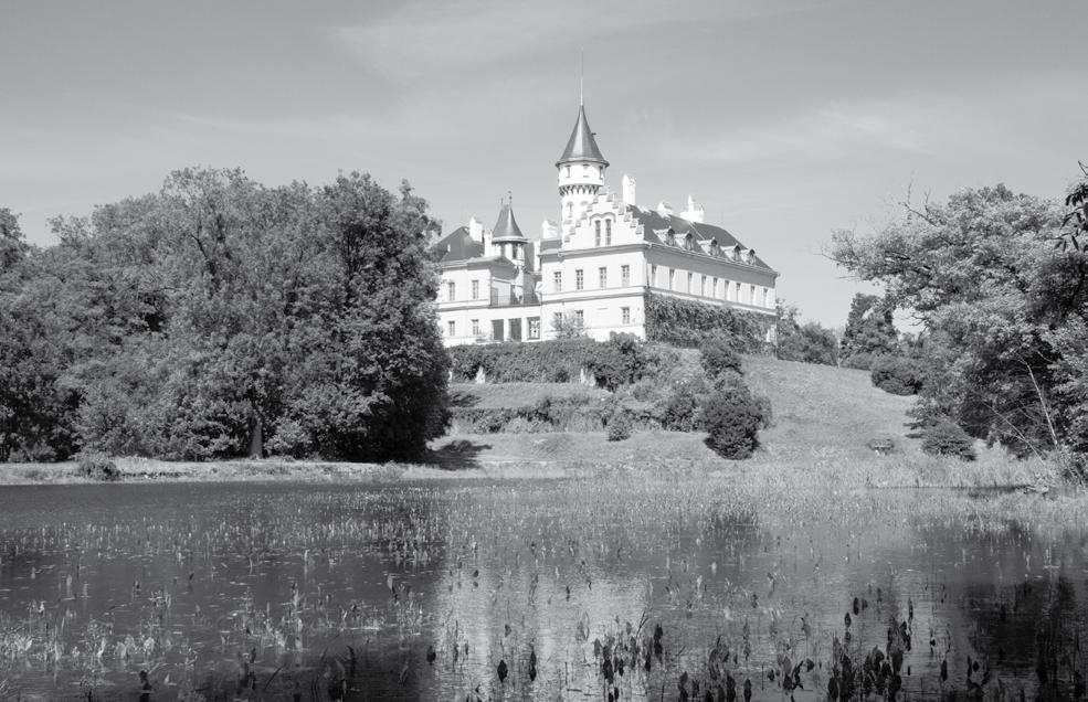 Prohlédnout si můžete reprezentační a soukromé salony v rámci hlavního okruhu nebo hostinské apartmá v doplňkovém okruhu. Více informací na www.zamek-hradec.cz.