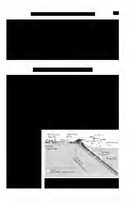 GMÉUNG К. et al: A bór geokémiai szereve szubdukciós zónákban 559 bórkoncentráció-adatokat hazai vulkáni kőzeteken prompt gamma aktivációs analízissel (GMÉLING et al. 2005, 2006, 2007a, b).