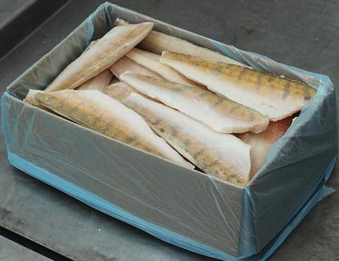 MÉLYHŰTÖTT TERMÉKEK BŐRÖS FOGAS FILÉ MEGNEVEZÉS /KG /KG EGYSÉG