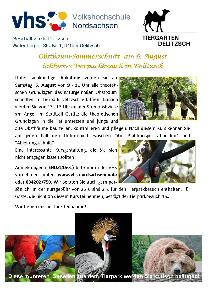 vhs-nordsachsen.de www.facebook.com/vhsnordsachsen TORGAU Tel.: 03421 712040 OSCHATZ Tel.