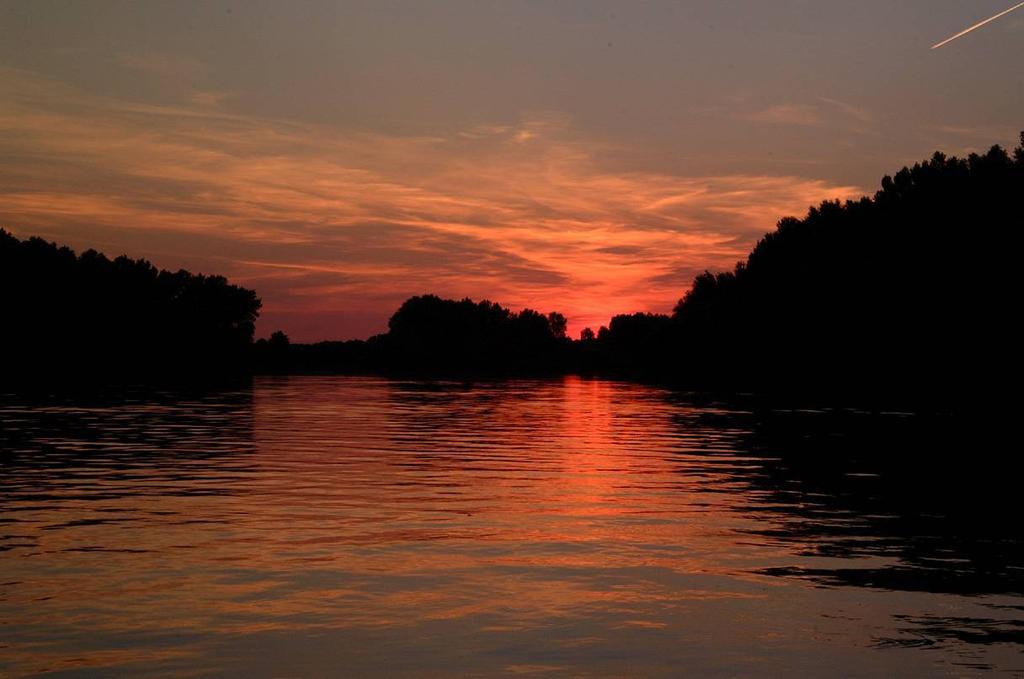 Következtetések, összegzés A védett halványfoltú küllőt és selymes durbincsot valamennyi (17 db) Közép-Tisza által metszett 10x10 kmes UTM négyzetben megtaláltuk Mindkét faj esetében 12-12