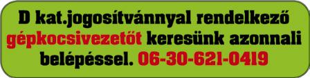 Hosszútávú munkalehetőség egyműszakos munkarendben! Munkavégzés helye: PILISVÖRÖSVÁR.