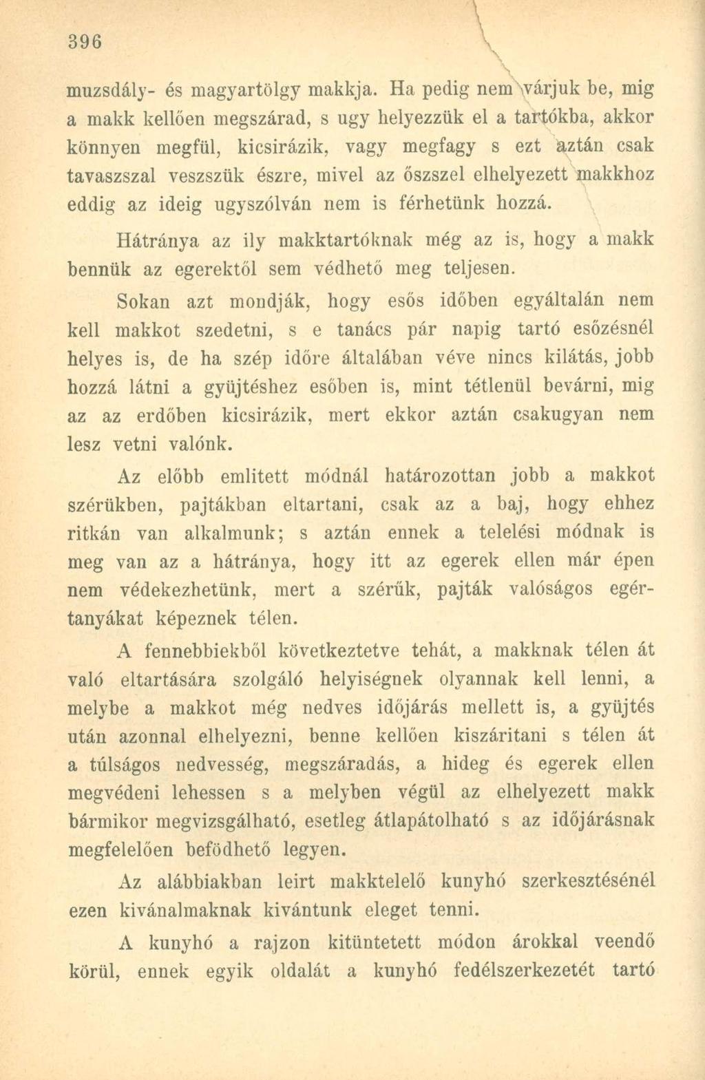 muzsdály- és magyartölgy makkja.