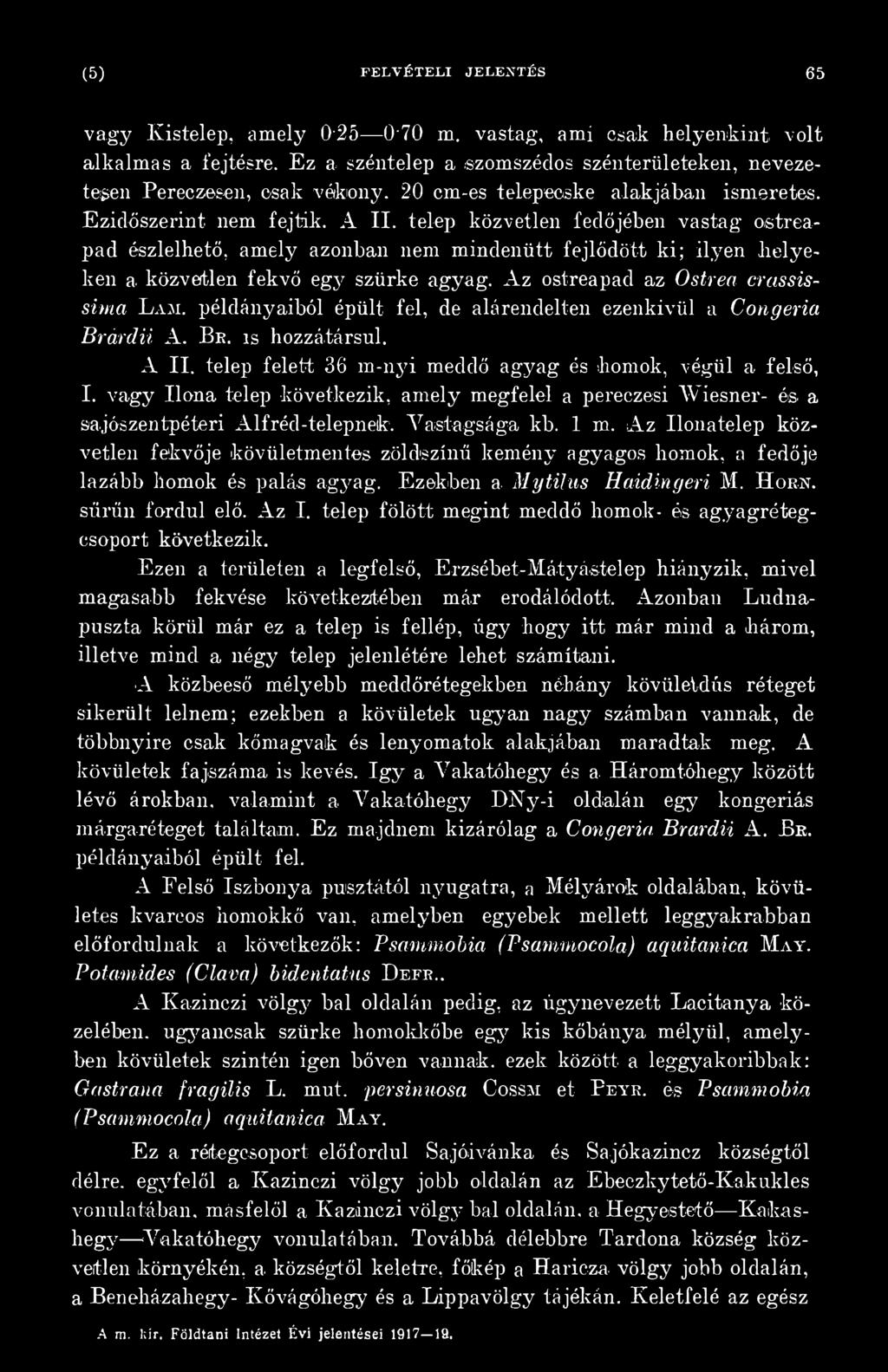 vagy Ilona telep következik, amely megfelel a pereczesi Wíesner- és a sajószentpéteri Alfréd-telepnek. Vastagsága kb. 1 m.