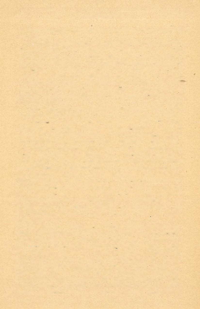 6 6 DR. SCHRÉTER ZOLTÁN (6) szénterület csatlakozik az 1916-ban leírt Pereczes és Sajószentpéter vidéki szénterülethez. A ikirá-ldi baranszénterületen némileg eltérők a földtani viszonyok.