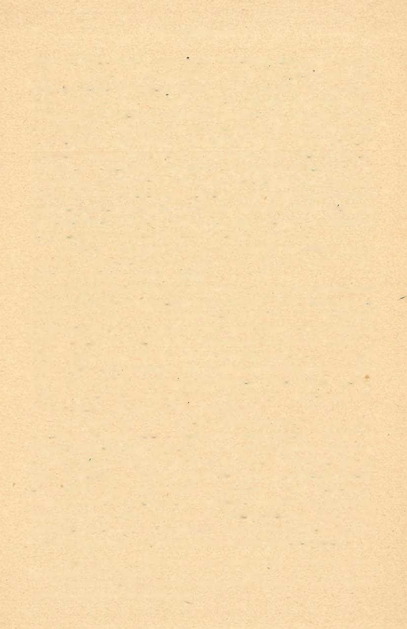 68 D E. SCHKÉTEK ZO L T Á N (8) völgy bal oldala felett, a feliér márga fekvőjében, ahol hosszú, keskeny sávban nyomozható.