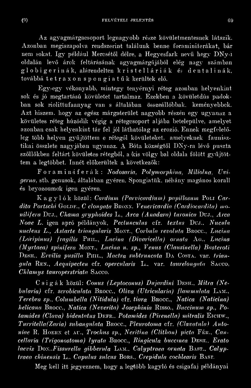 A zt hiszem, hogy az egész márgaiterület nagyobb részén egy ugyanaz a kövületes réteg húzódik végig a rétegcsoport aljába betelepülve, amelyet azonban csak helyenkint tár fel jól láthatólag az erózió.