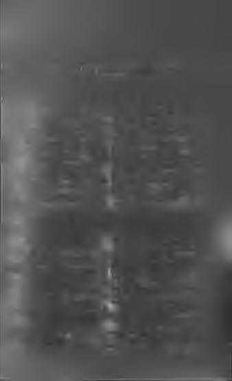 Tornászat. Rajzolás. Gyorsirászat. Ének. Zenészét............... X X X IV VI I. Ifjúsági iratok és képeskönyvek............ X X X V IX. Nyelvtudomány... X X X V II X. Görög és latin remekhók -... _.