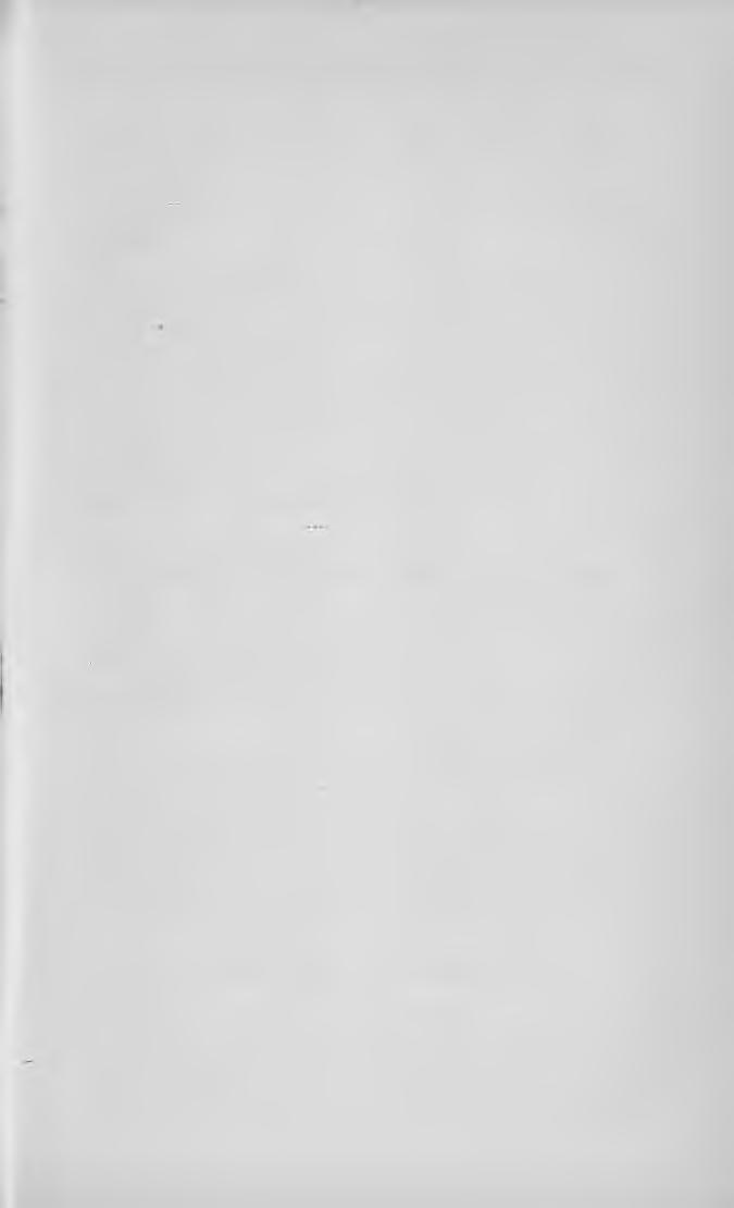 X L 1 Jókai Mór. Emlékbeszéd Rudolf trónörökösről és egyéb beszédek. :............ Kaiser Pál D. Gusztáv Adolf élete............... Kandra Kabos. A váradi regestrum............ Kazinczy Gábor.