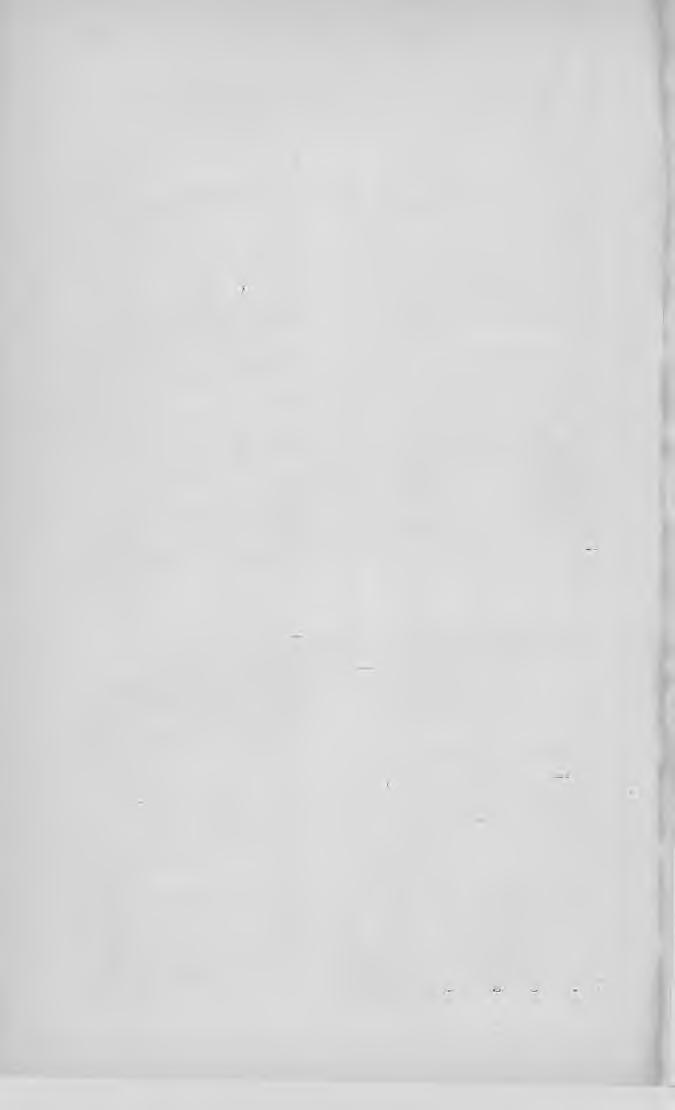 X X V I II. Hittudoraány. Á jta to ssá g i (A katholikus szerzők Armstrong A. Richard. Isten és lélek............... 4 Barla Szabó Károly. Egyházi beszédek......._...... y Bereczky Sándor. A kereszt.
