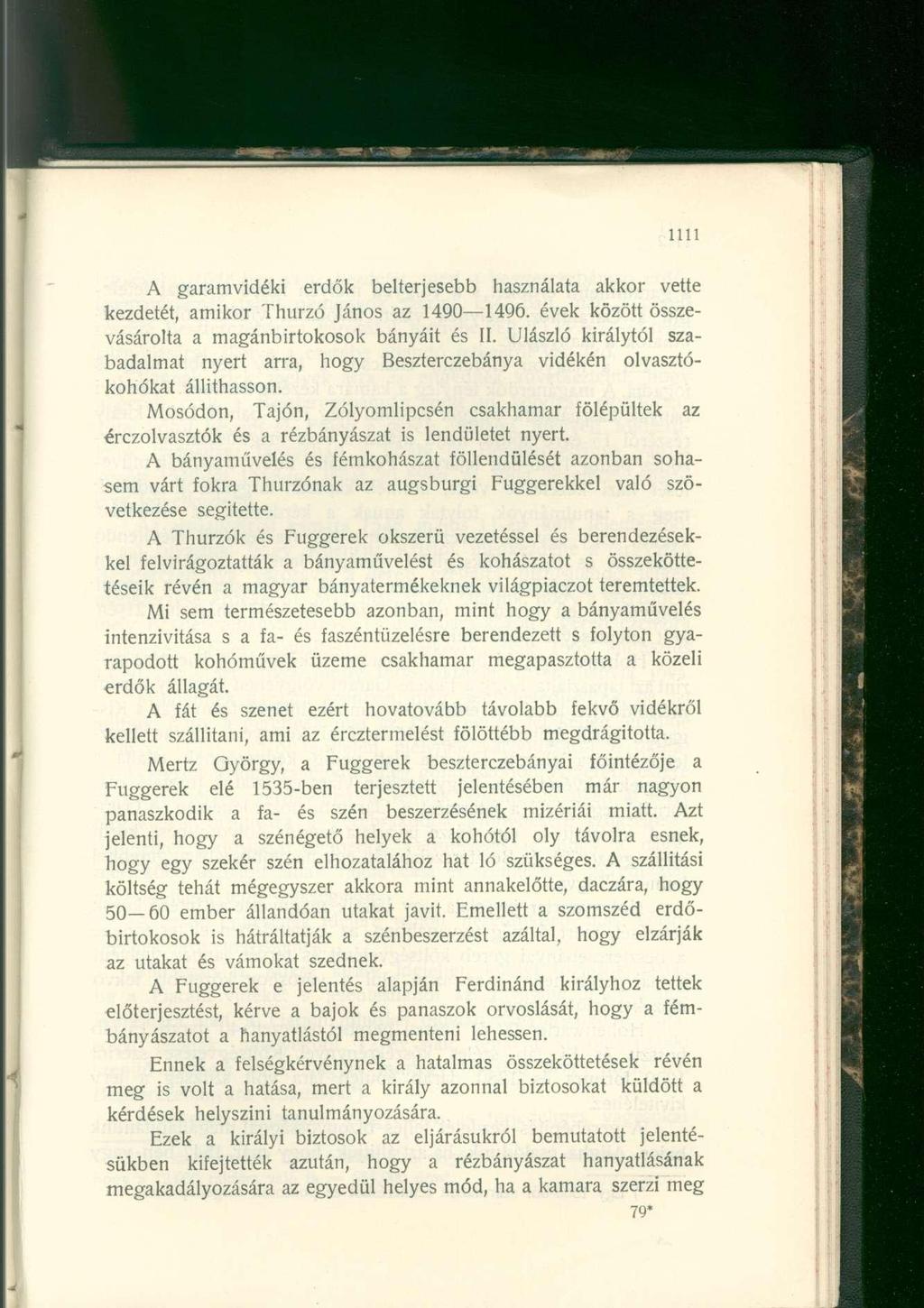 A garamvidéki erdők belterjesebb használata akkor vette kezdetét, amikor Thurzó János az 1490 1496. évek között összevásárolta a magánbirtokosok bányáit és II.