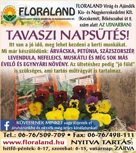 A táncos előadás Mozart zenei világába kalauzolja a kicsiket, és azokat a játékos kedvű nagyokat, akik nem akarják elfelejteni, milyen volt gyereknek lenni!