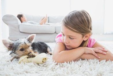 A homok, por eltávolítása után a mosótérbe kerülnek a szőnyegek, ahol kefélő gépekkel samponos vízzel habosra keféljük, ezzel feloldódnak még a masszív szennyeződések is.