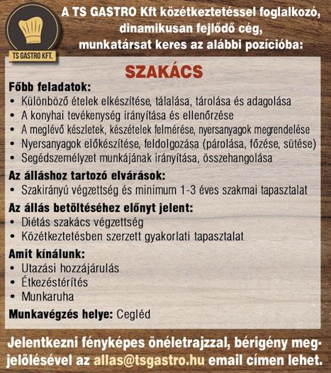 Autóipari multi keres betanított munkakörbe, biztonsági öv összeszerelő kollégákat sopronkövesdi gyárába, 3 műszakos munkarendbe. A szállás és a bejárás megoldott. Kiemelkedő bér mellett, 13.