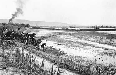 252 3. HOLOKAUSZT KÁRPÁTALJÁN (1939 1944) érdekében azt javasolja, hogy a legénység kölcsönös kicserélése az I. és VIII. hdt. között rendeltessék el.