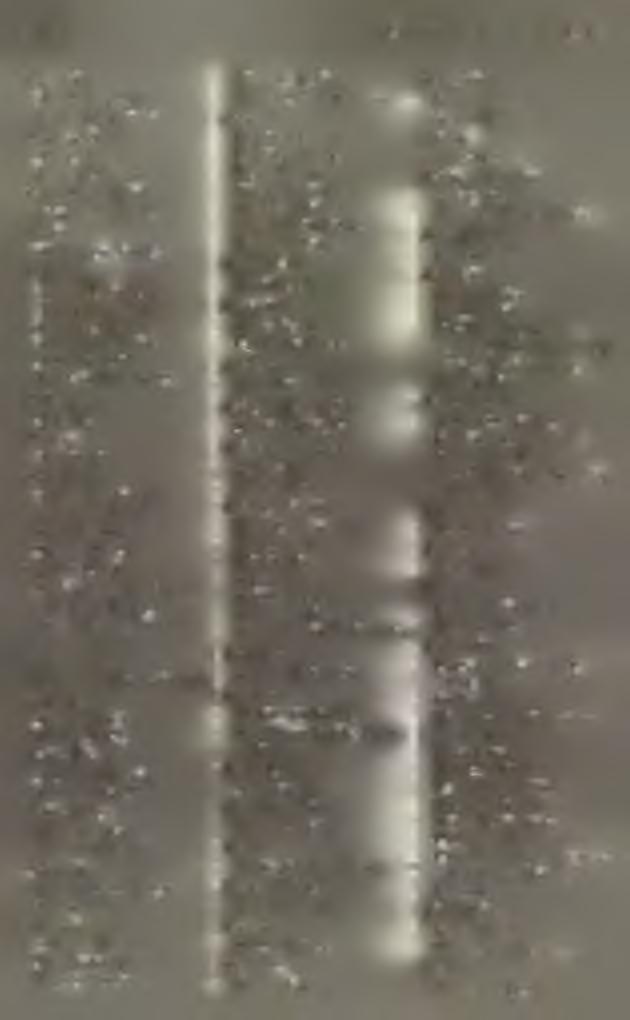 130 KÖNYVNYOMDÁK A VIDÉKEN Segesvár Horeth Frigyes. Jördens Testvérek. Sélmeczbánya Blever Adolf. Joerges A. özv. Sepsi-Szent-György Jókai-nyomda r.-t. Siklós Harangozó József. Sopron Breiner E.
