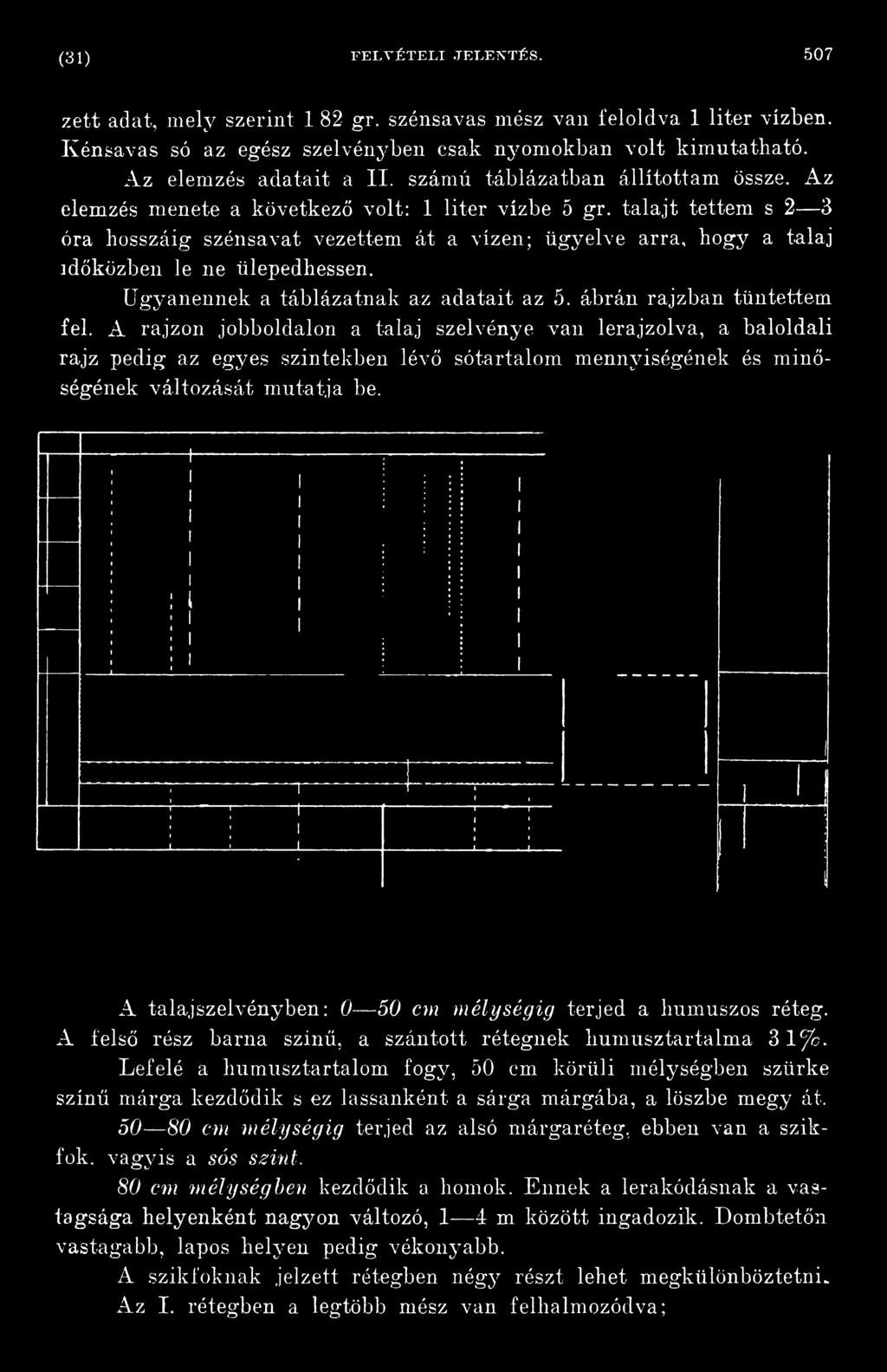 A talajszelvényben: 0 50 cm mélységig terjed a humuszos réteg. A felső rész barna színű, a szántott rétegnek humusztartalma 31 cjo.