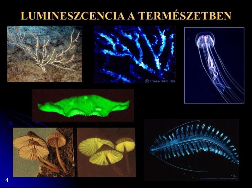 Lumineszcencia A molekula valamilyen úton gerjesztett állapotba jut (a molekulában lévő elektronok közül néhány többletenergiára tesz szert), majd amikor elektron visszaugrik alacsonyabb energiájú