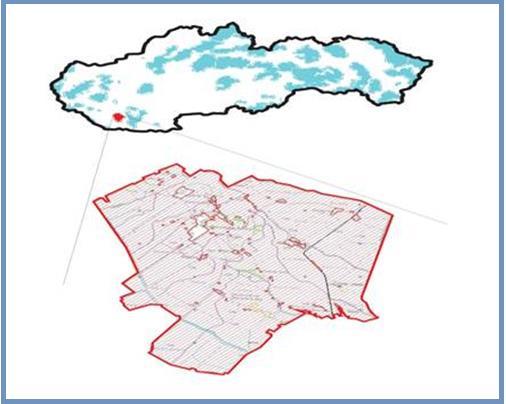 142 található, emberi tevékenység által befolyásolt Natura 2000 hálózatba tartozó élőhelyek a legfertőzöttebbek invazív fajokkal (Chytry et al. 2008).