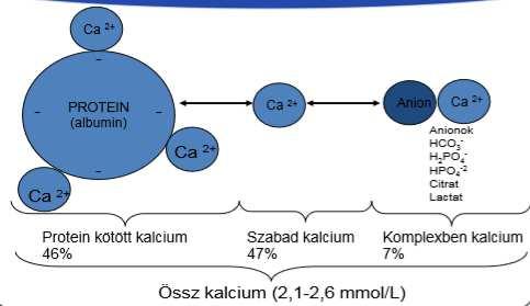 Kálcium