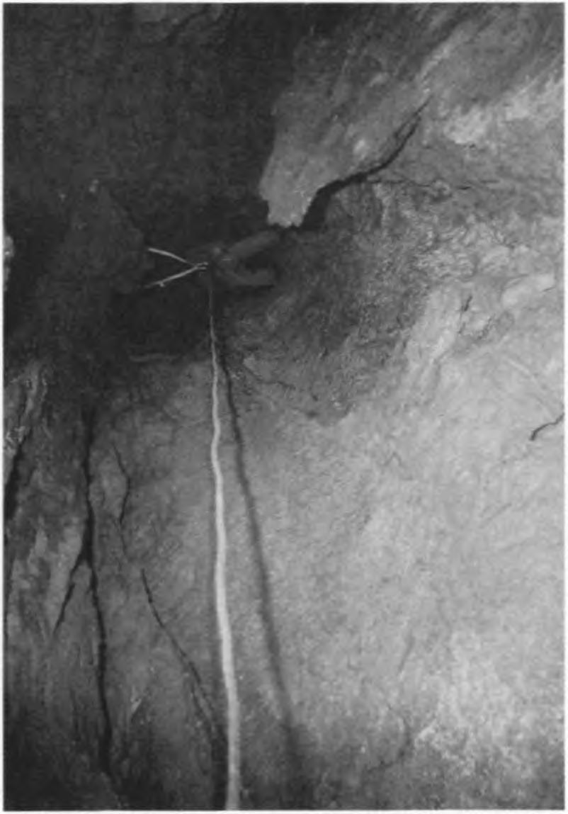 lyebb pontja: -151 m.