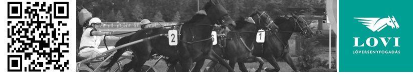 Fogadási ajánlat 10-es pálya 2. futam, Tét jackpot összege: 200000 Ft ; 10-es pálya 4. futam, Tét jackpot összege: 200000 Ft ; 10-es pálya 5. futam, Tét jackpot összege: 200000 Ft ; 10-es pálya 6.