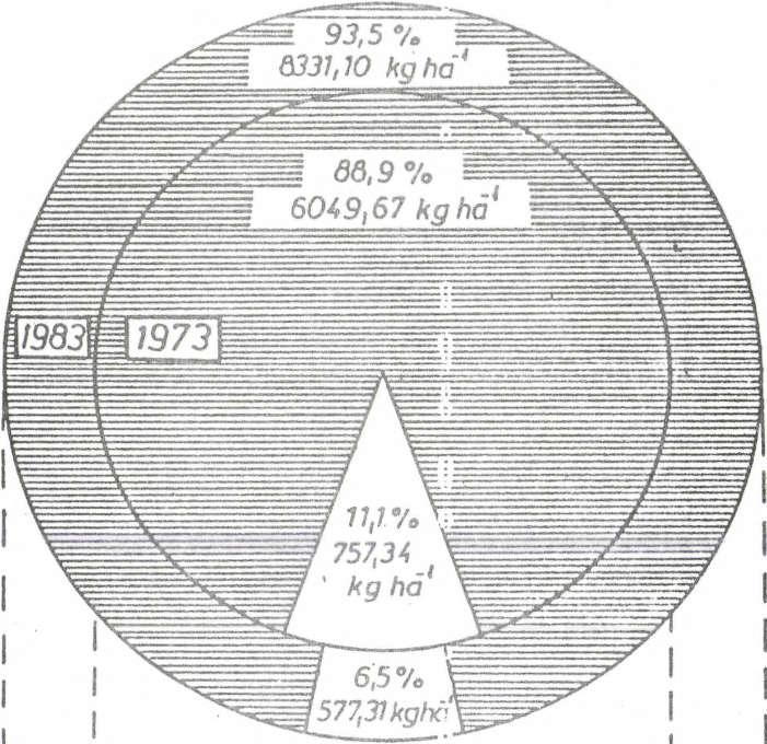 - 130 - A fitomassza megoszlása és változása a cserjeszintben 1973 és 1933 között magas cserjeszint ( + 3 7, 7 % ) alacsony