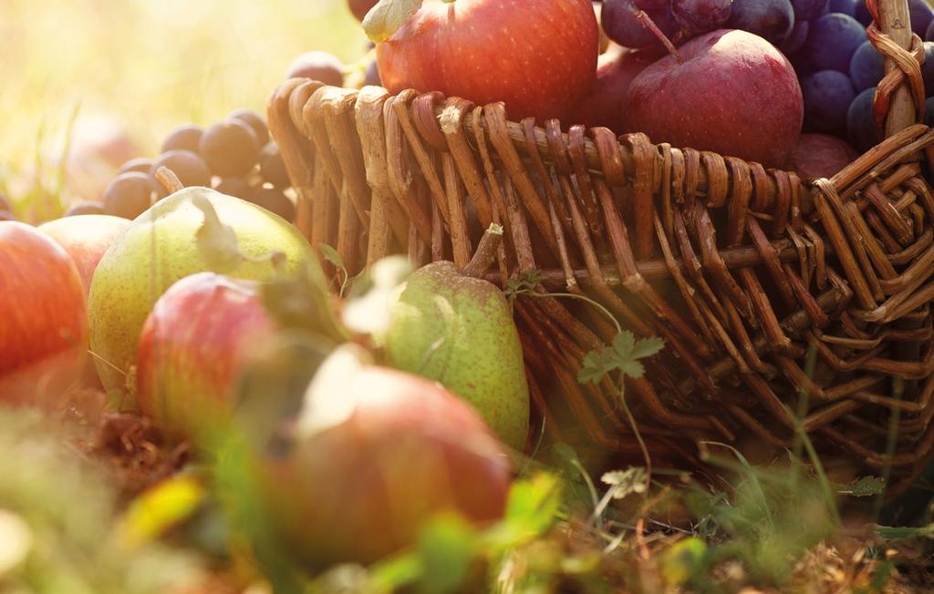 GYÜMÖLCSTERMESZTÉS TÁMOGATÁSA 2019 A gyümölcstermesztők a SAPS és a zöldítés mellett hektáronként külön termeléshez kötött támogatást igényelhetnek, amely 2015-től egy új elem a támogatási